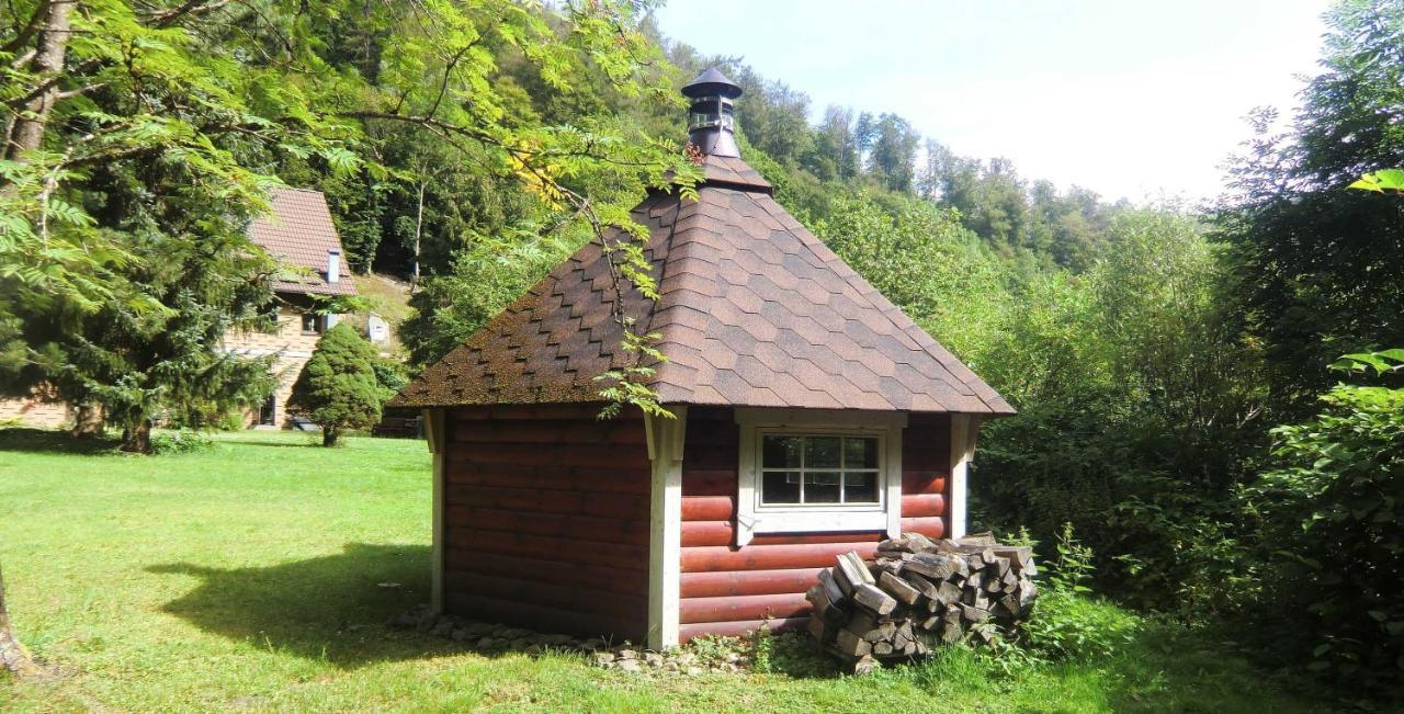 Haus Am Wolfsbach Διαμέρισμα Zorge Εξωτερικό φωτογραφία