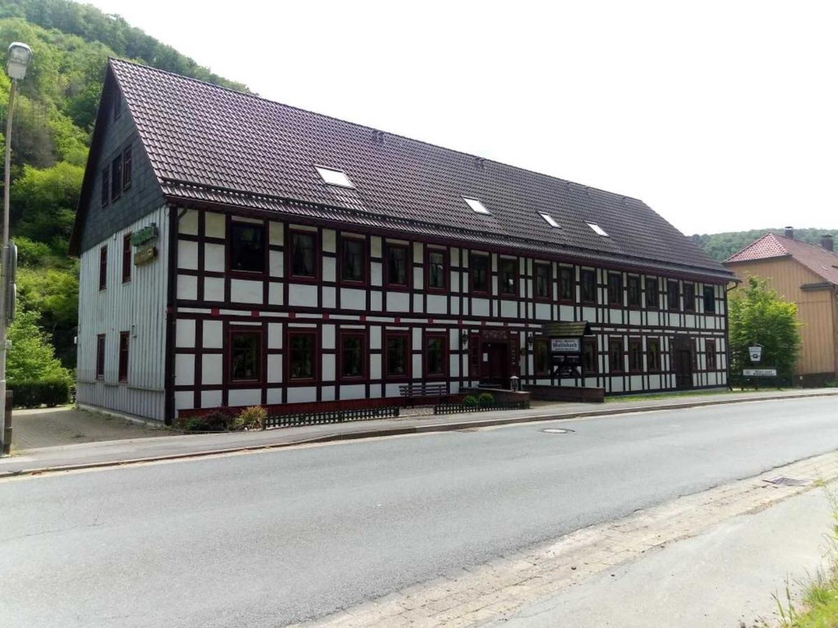 Haus Am Wolfsbach Διαμέρισμα Zorge Εξωτερικό φωτογραφία