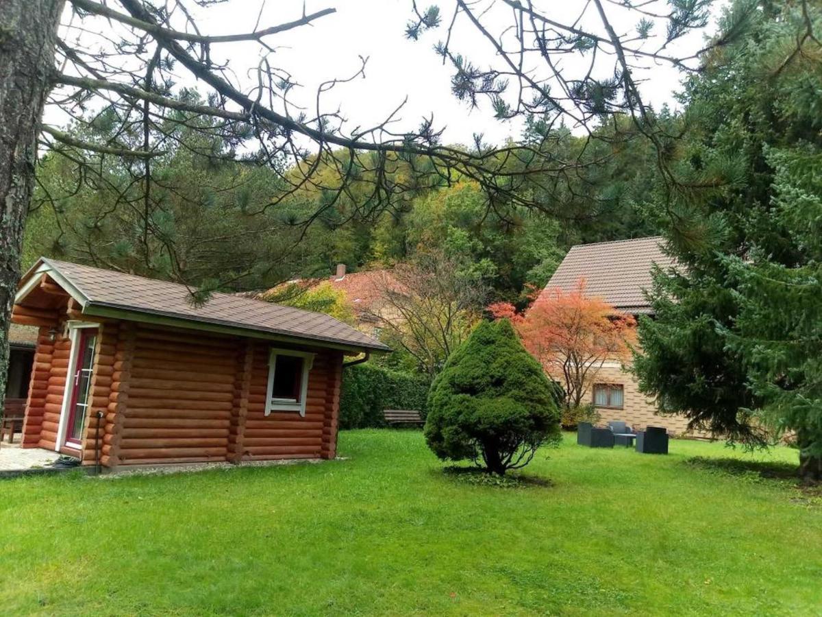 Haus Am Wolfsbach Διαμέρισμα Zorge Εξωτερικό φωτογραφία