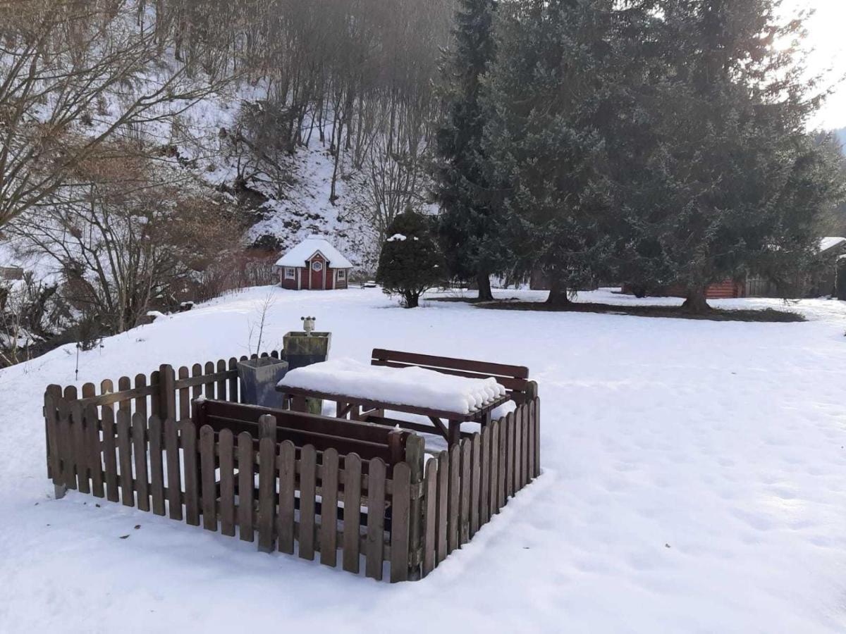 Haus Am Wolfsbach Διαμέρισμα Zorge Εξωτερικό φωτογραφία