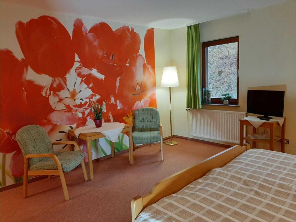 Haus Am Wolfsbach Διαμέρισμα Zorge Εξωτερικό φωτογραφία