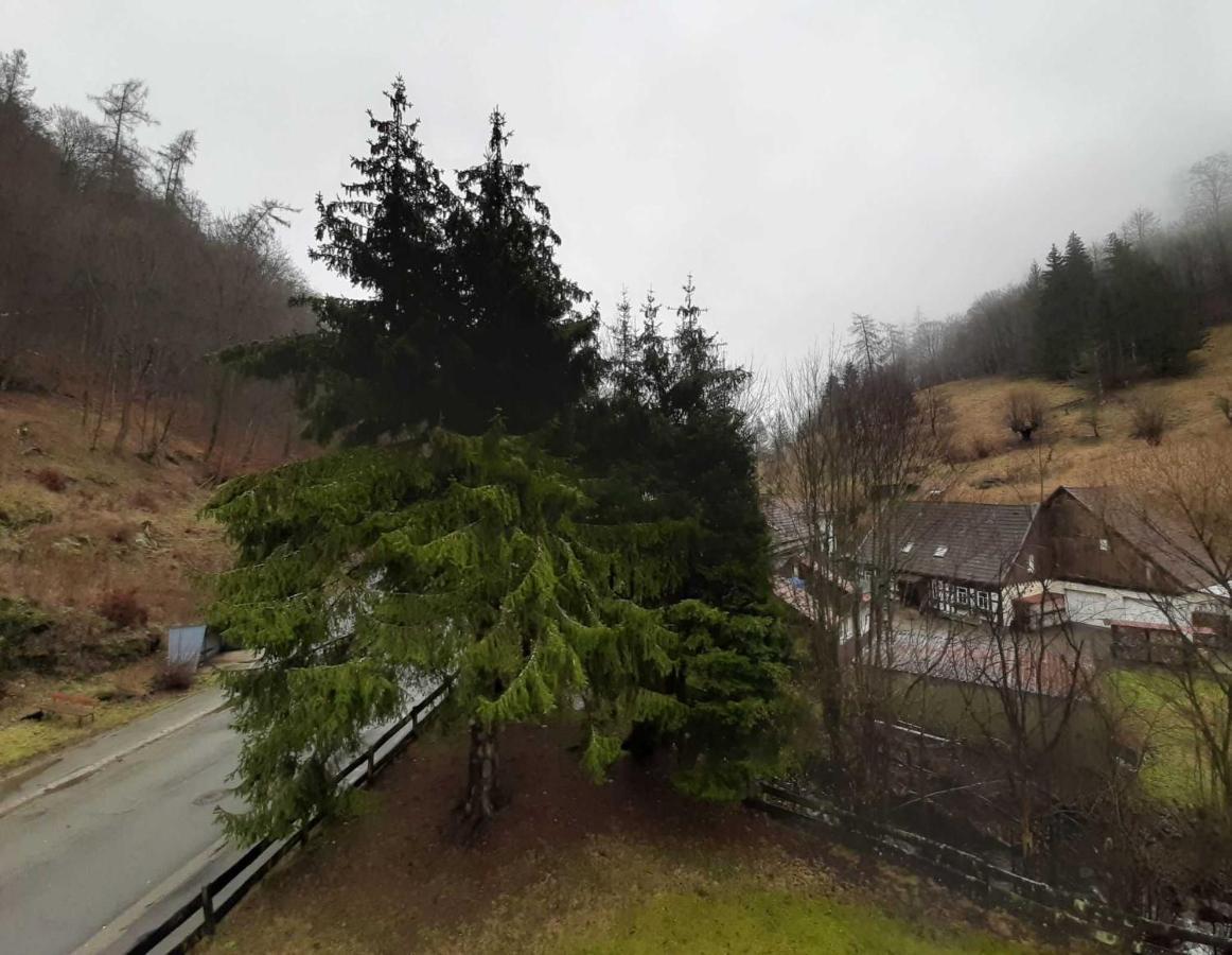 Haus Am Wolfsbach Διαμέρισμα Zorge Εξωτερικό φωτογραφία